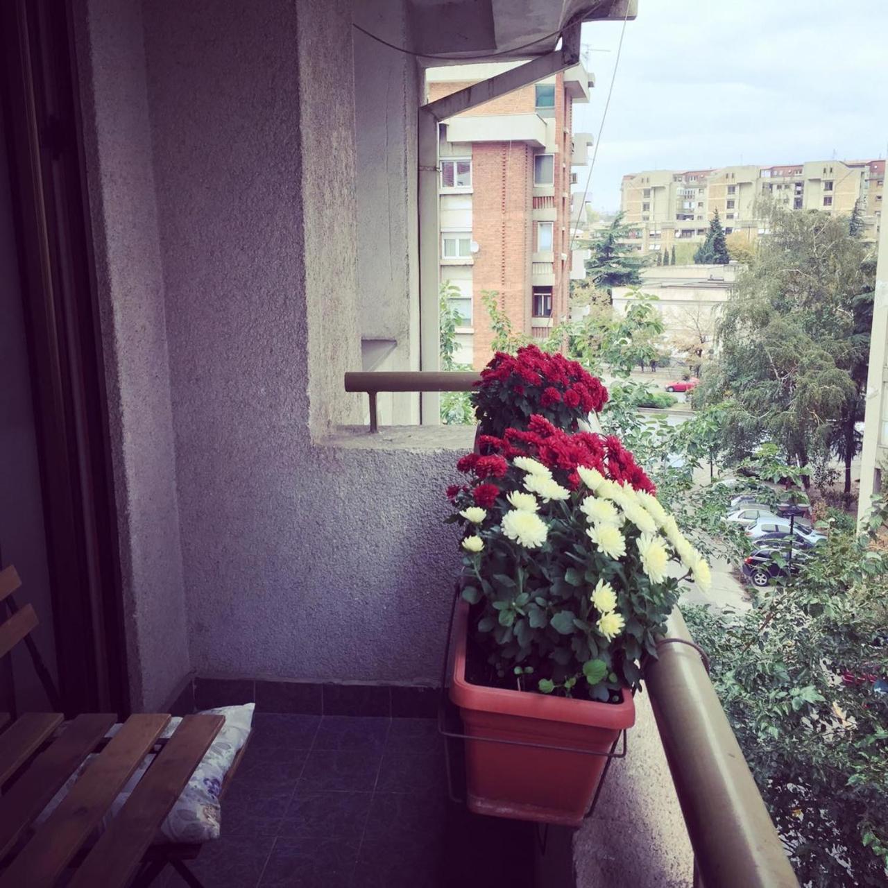 3 Bedroom Home With Parking Garage In The Heart Of Scopia Exterior foto